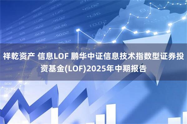 祥乾资产 信息LOF 鹏华中证信息技术指数型证券投资基金(LOF)2025年中期报告