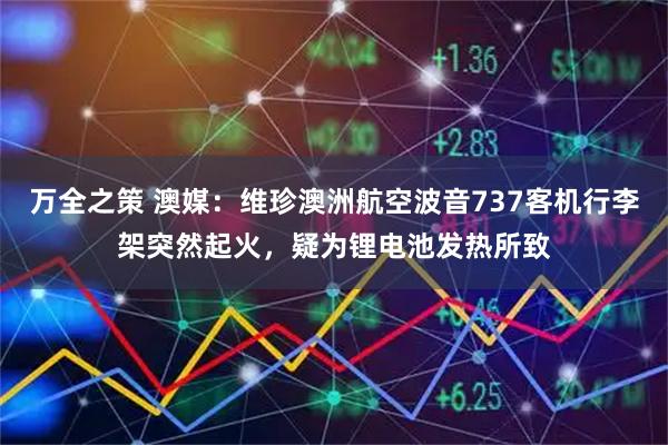万全之策 澳媒：维珍澳洲航空波音737客机行李架突然起火，疑为锂电池发热所致